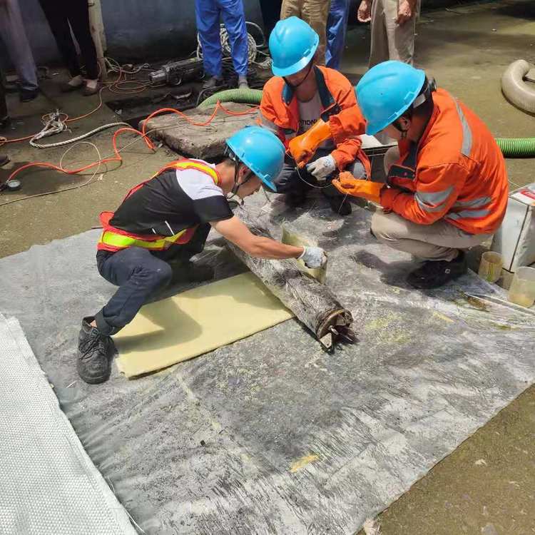 洋浦经济开发区管道局部修复-管道固化修复